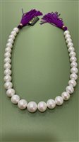 Collana Rajola Donna in Perle 151-S4-1PZ2 - 151-S4-1PZ2